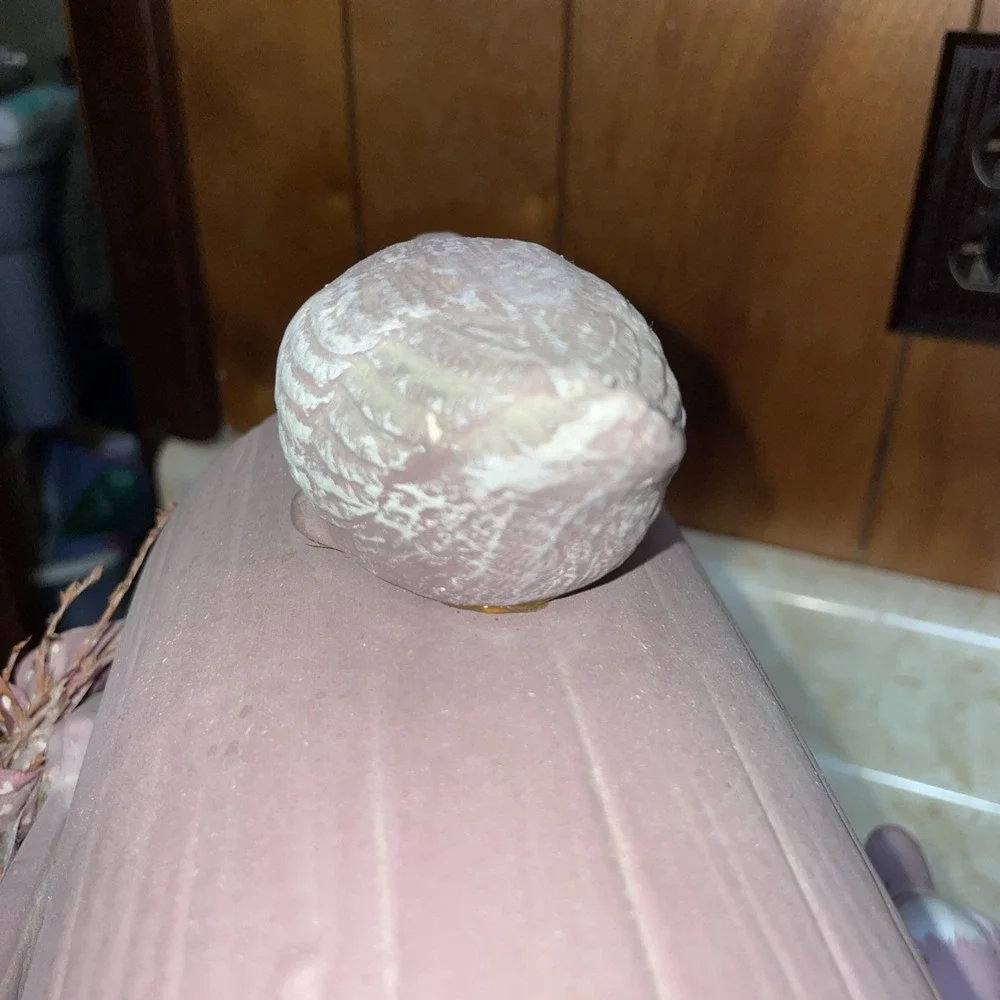 Ceramic Geese Duck With‎ Mailbox Egg Nest Four Birds
